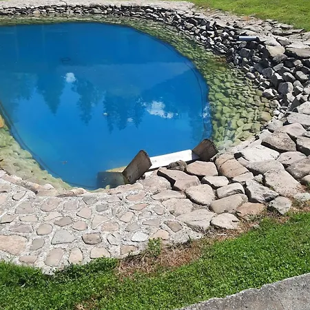 Lisoviy Zatyshok, Z Vidkrutum Litnim Baseynom بيت ريفي